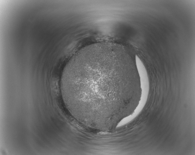 X0000062150699200512161234