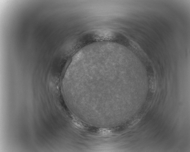 X0000062150701200512161234