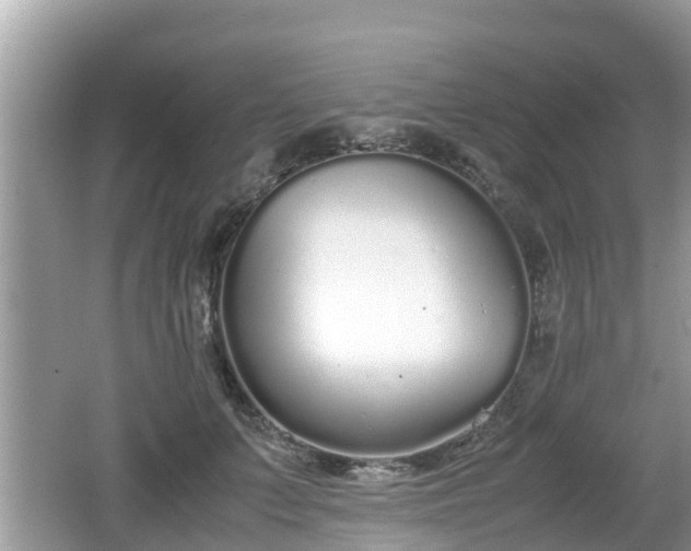 X0000062150703200512161234