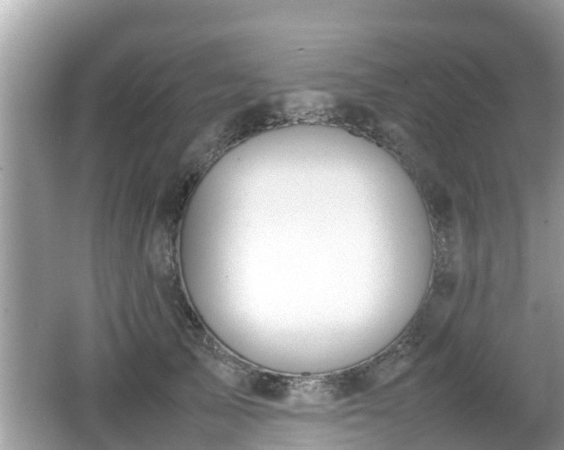 X0000062150705200512161234