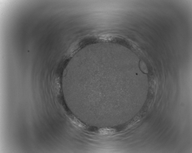 X0000062150707200512161234