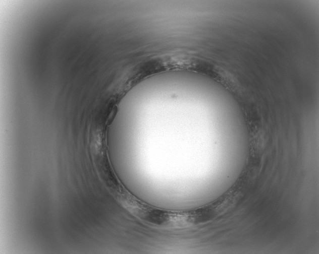 X0000062150709200512161234