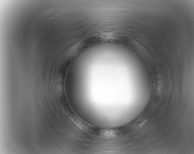 X0000062150710200512161234