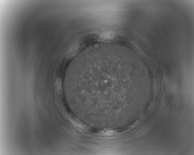 X0000062150711200512161234