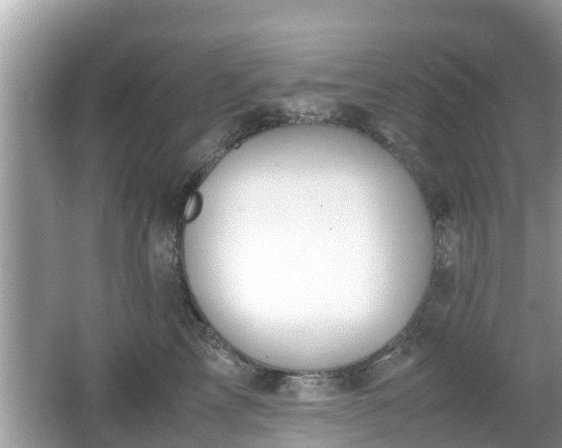 X0000062150713200512161234