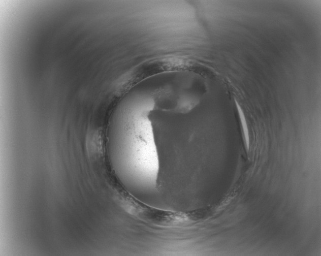 X0000062150715200512161234