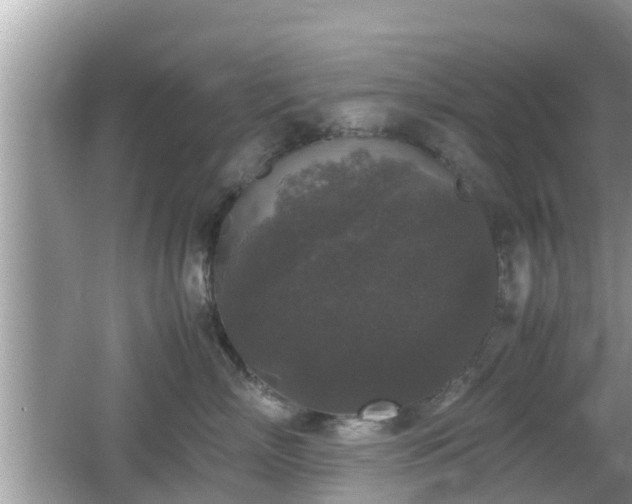 X0000062150718200512161234