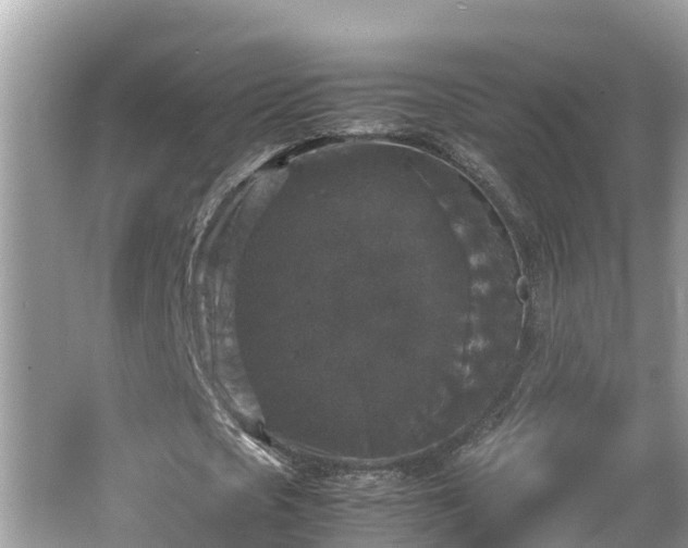 X0000062150721200512161233