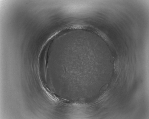 X0000062150722200512161233