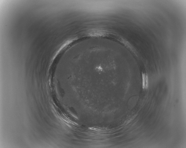 X0000062150723200512161233