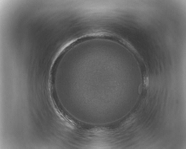 X0000062150724200512161233