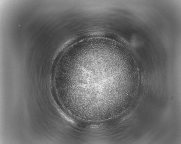 X0000062150725200512161233