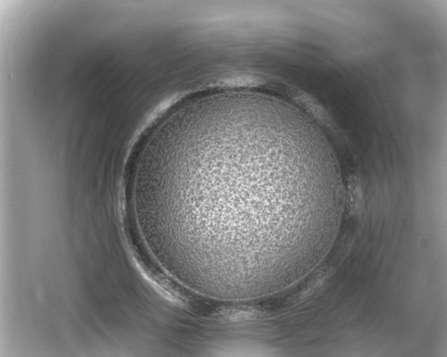 X0000062150726200512161233