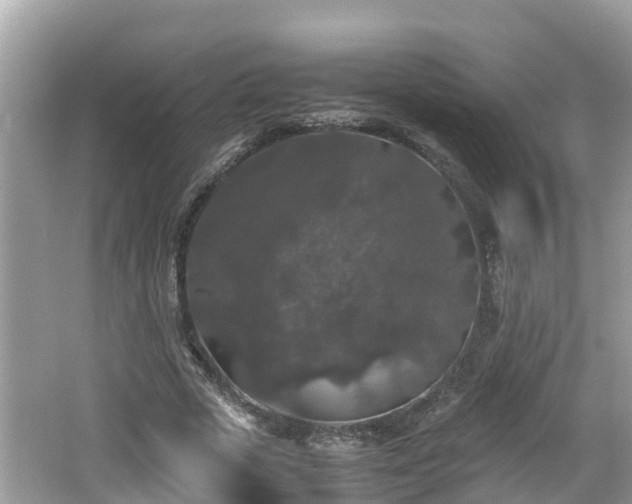 X0000062150729200512161233