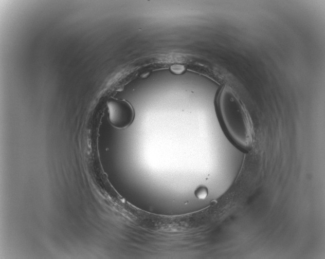 X0000062150731200512161233