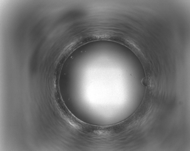 X0000062150733200512161233