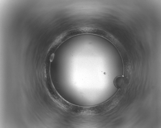 X0000062150734200512161233