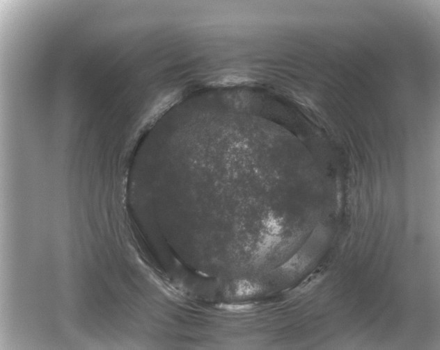 X0000062150735200512161234