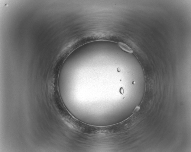 X0000062150736200512161234