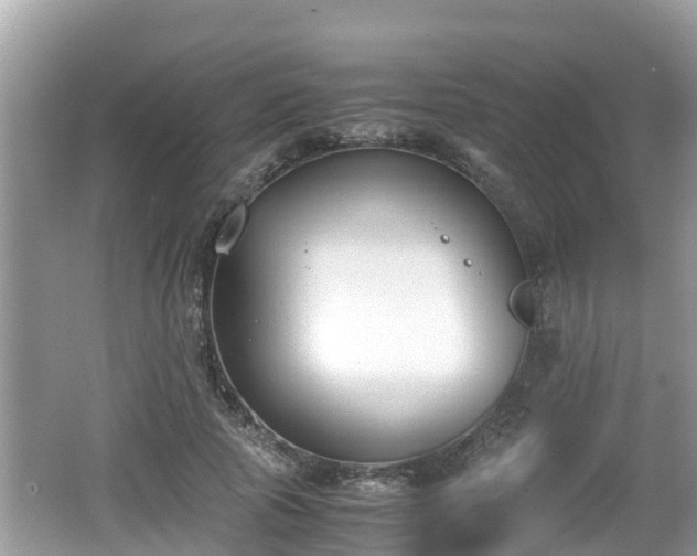 X0000062150737200512161234