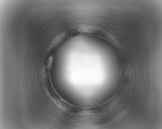 X0000062150738200512161234