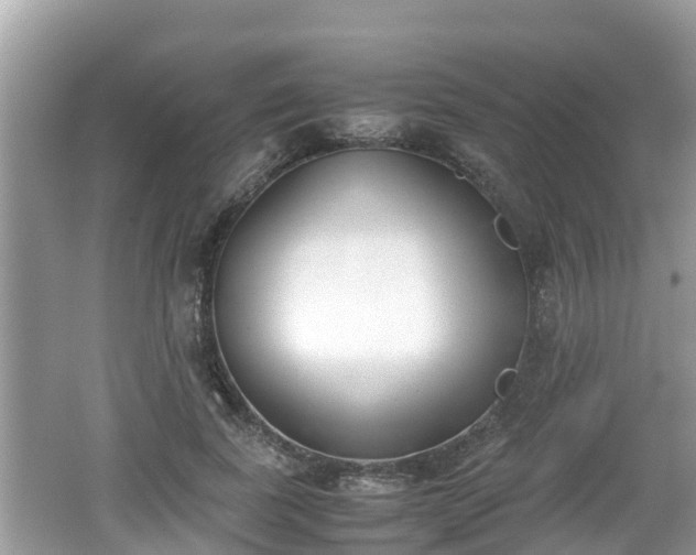 X0000062150739200512161234