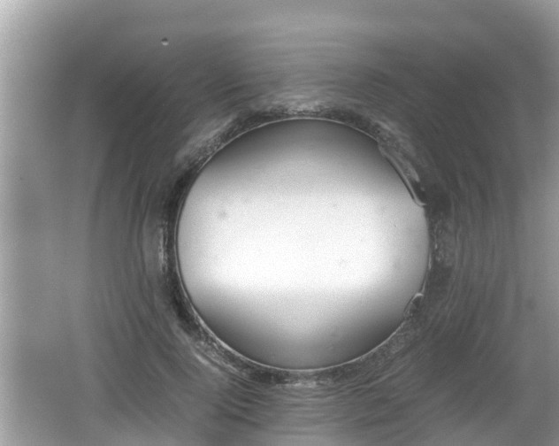 X0000062150740200512161234