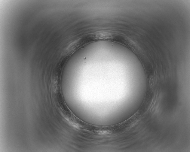 X0000062150741200512161234