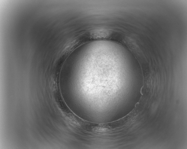 X0000062150743200512161234