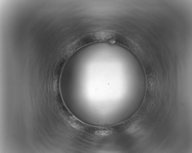 X0000062150745200512161234