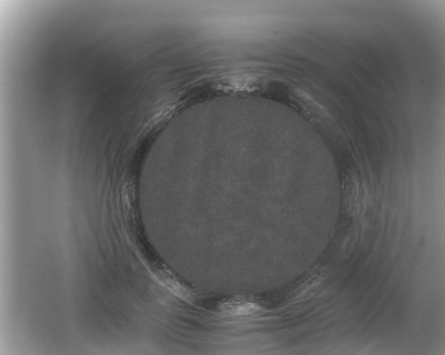 X0000062150747200512161234