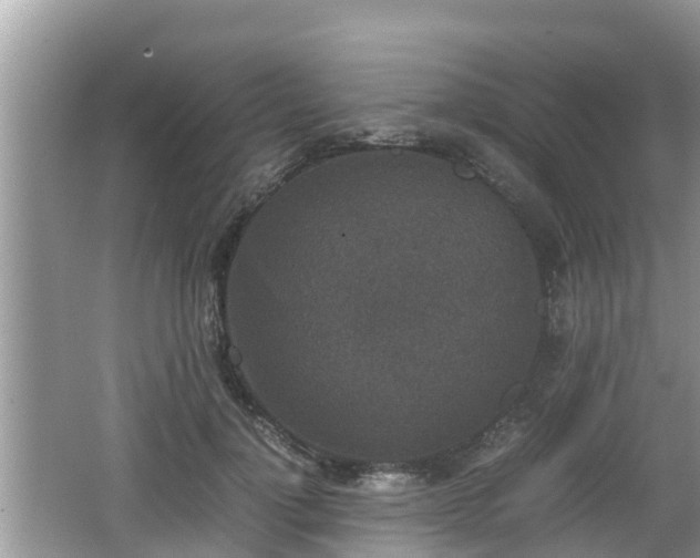 X0000062150748200512161234