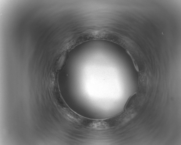 X0000062150752200512161234