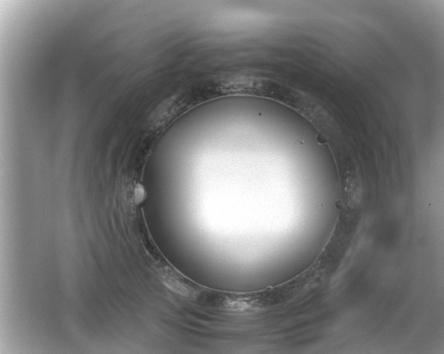 X0000062150753200512161234