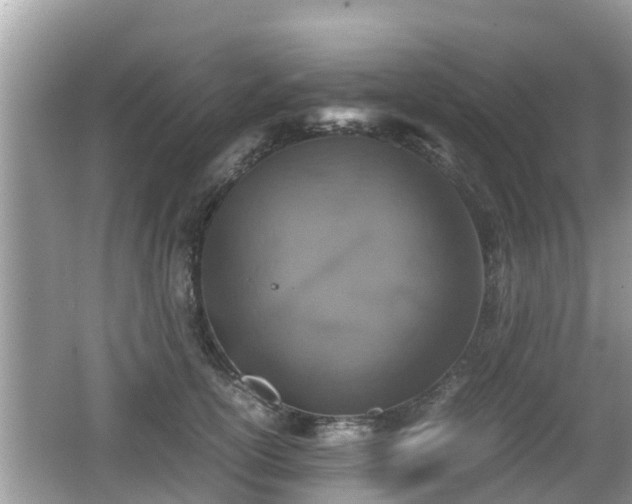 X0000062150754200512161234