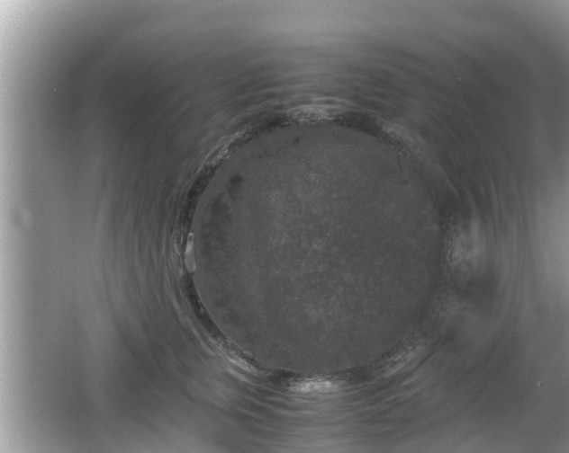 X0000062150759200512161234