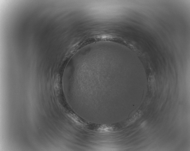 X0000062150760200512161234