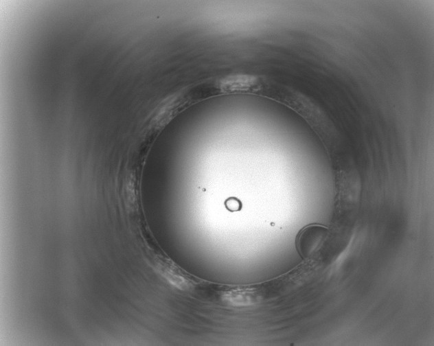 X0000062150761200512161234