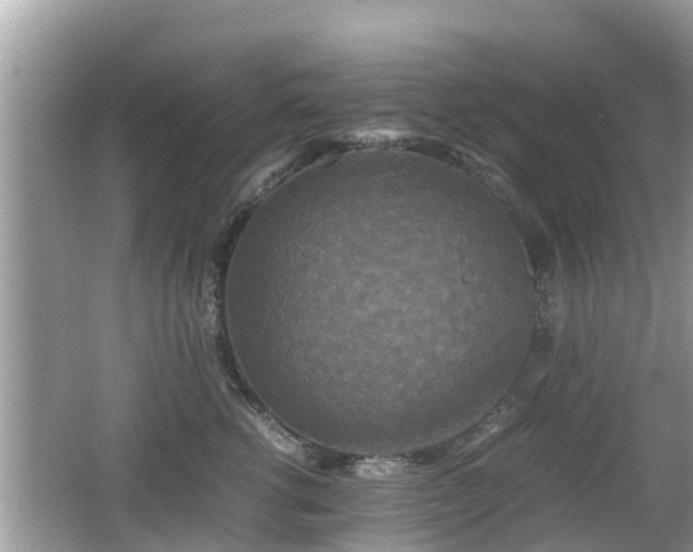 X0000062150762200512161234