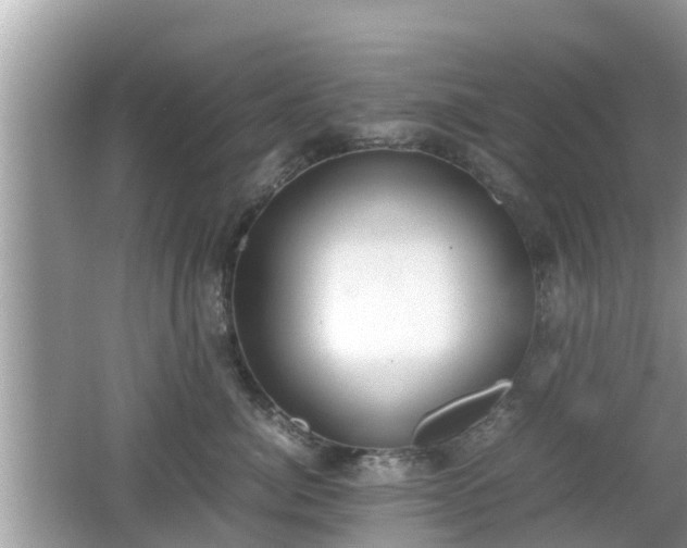 X0000062150764200512161234