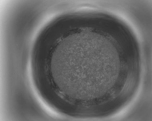 X0000062150765200512161234