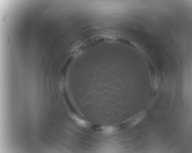 X0000062150766200512161234