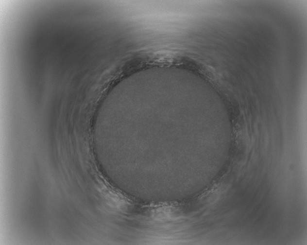 X0000062150769200512161233