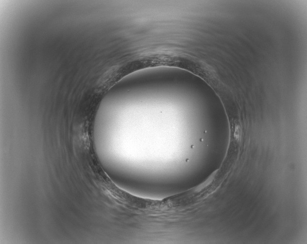 X0000062150771200512161233