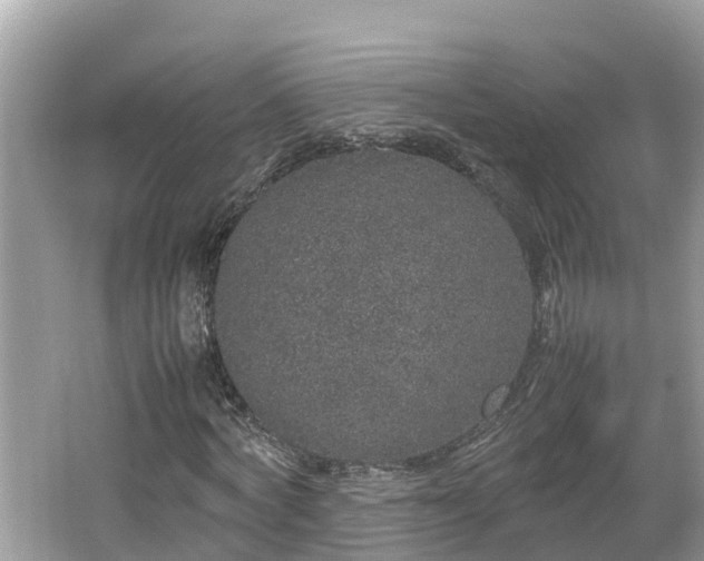 X0000062150772200512161233