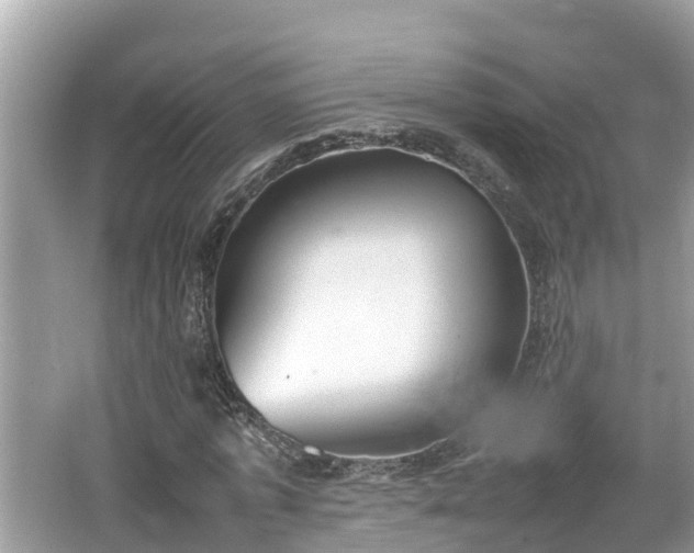 X0000062150773200512161233