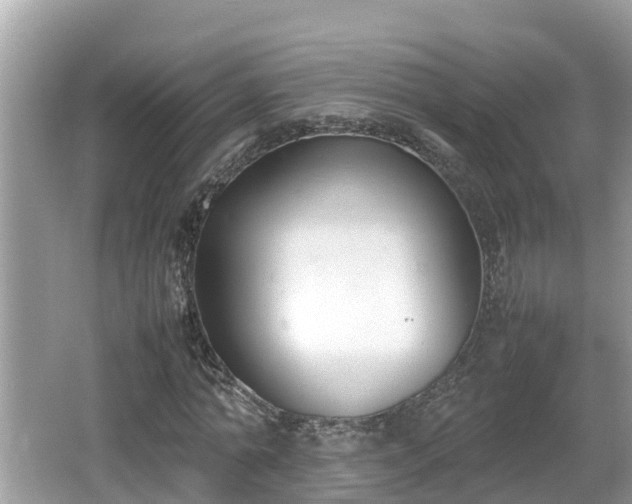 X0000062150774200512161233