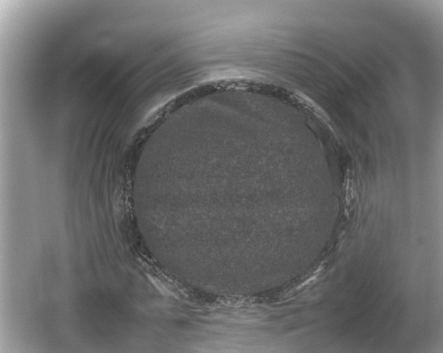 X0000062150775200512161233