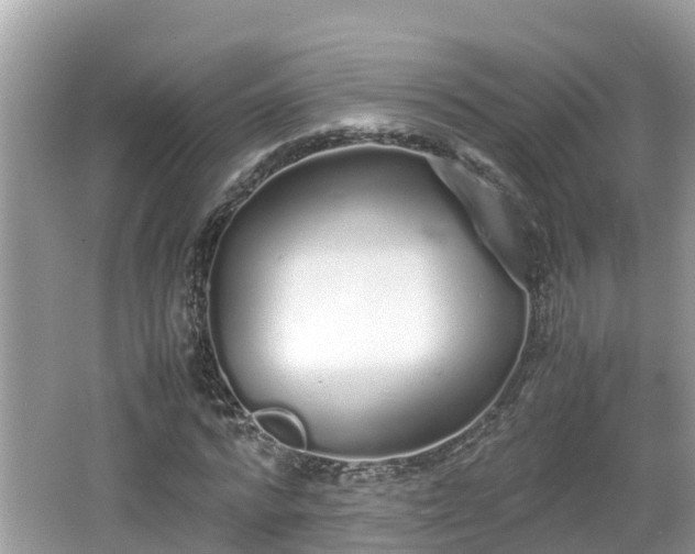 X0000062150776200512161233