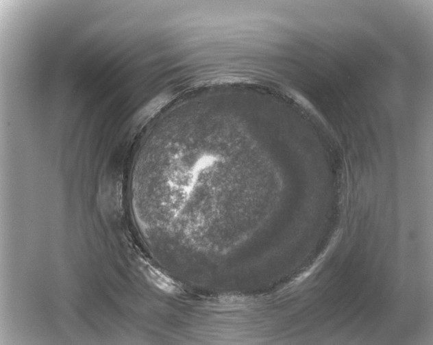 X0000062150777200512161233